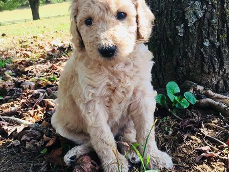 Country Road Homestead