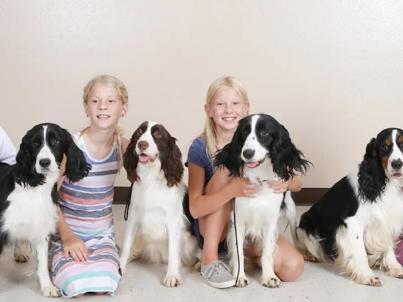 Countryside Kennels