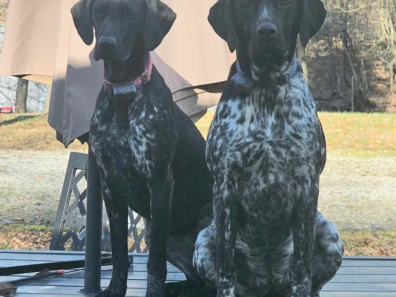 Cox Family Farms
