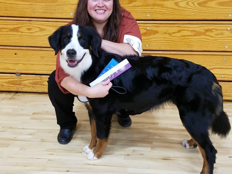 Creekside Canine Companions