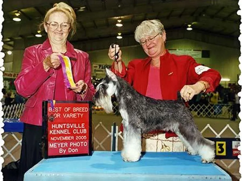 Croix Lac Schnauzers