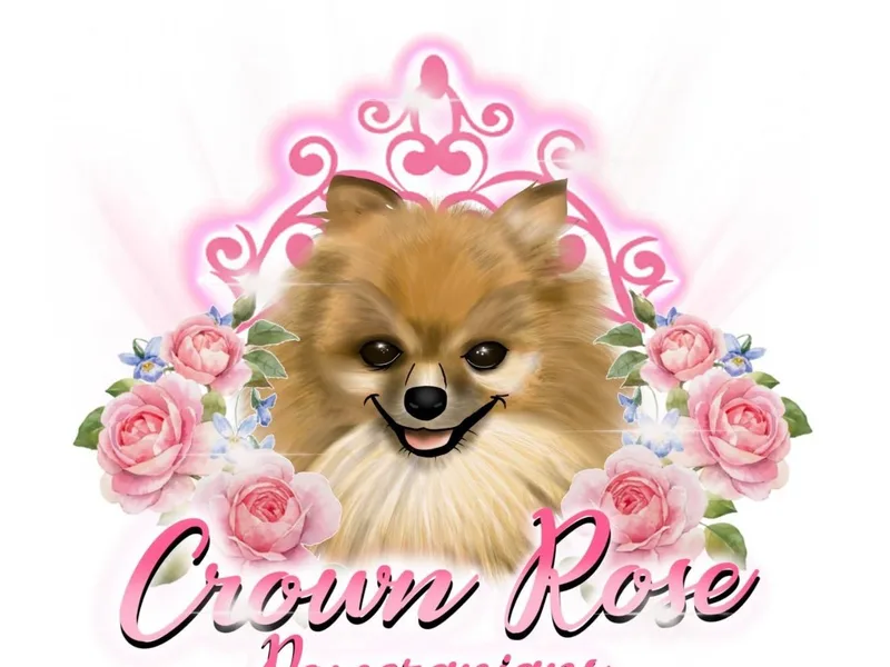 Crown Rose Pomeranians