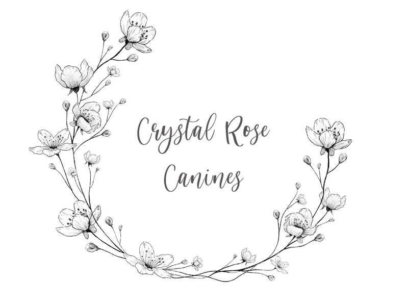 Crystal Rose Canines