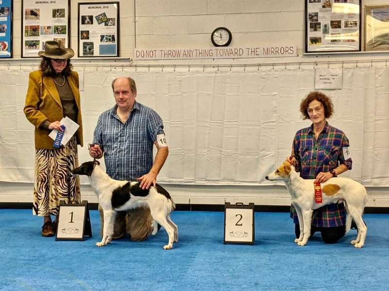 Crystal Spirit Windsprites