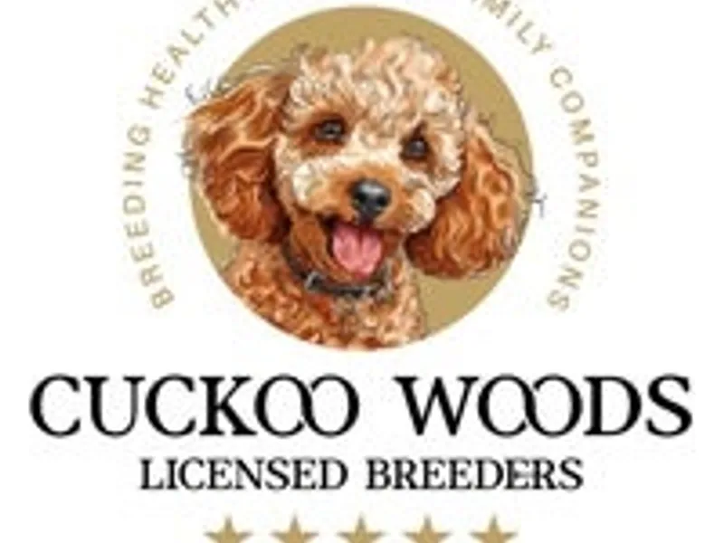 ⭐️ Cuckoo Woods Licensed Breeders ⭐️ photo 1