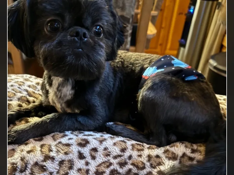 Cuddly Coastal Cuties