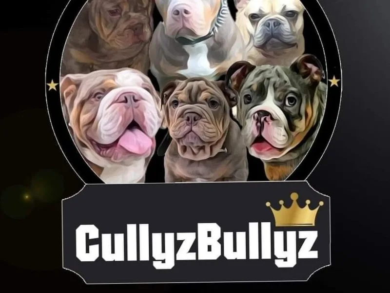 Cullyzbullyz & Daxies photo 1
