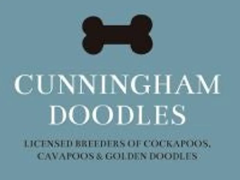 cunninghamdoodles photo 1
