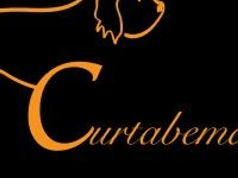 Curtabemdoodles ltd photo 1