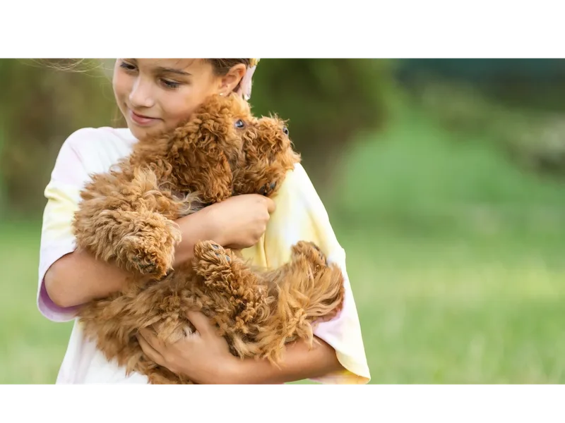 Cute Cozy Corner Puppies