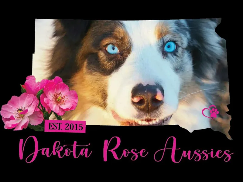 Dakota Rose Aussies