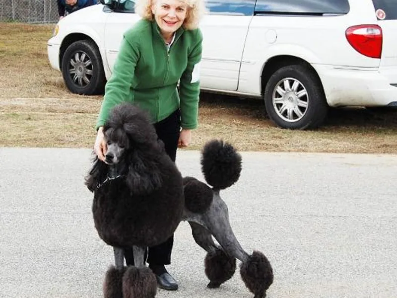 DancingCloud Kennels