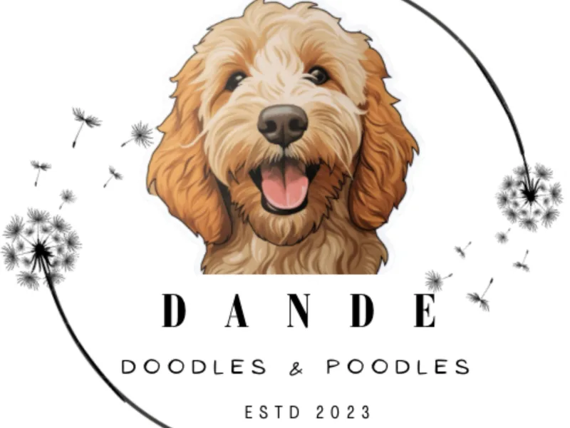 Dande Poodles, LLC