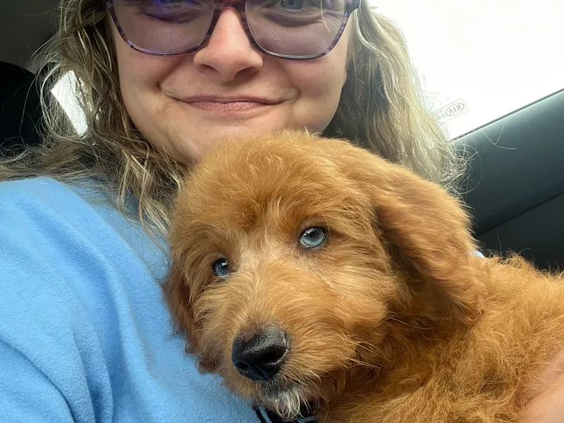 Danielle’s Doodles