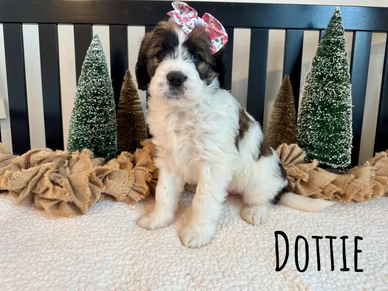 Darling Farm Doodles