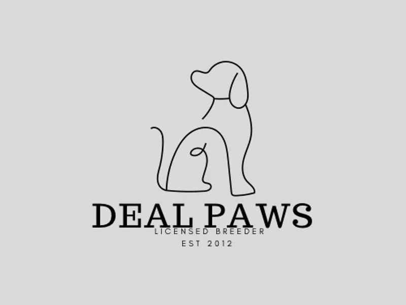 Deal Paws photo 1