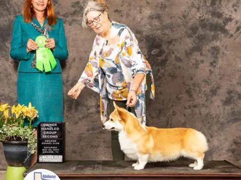 Deborah Arrington photo 1