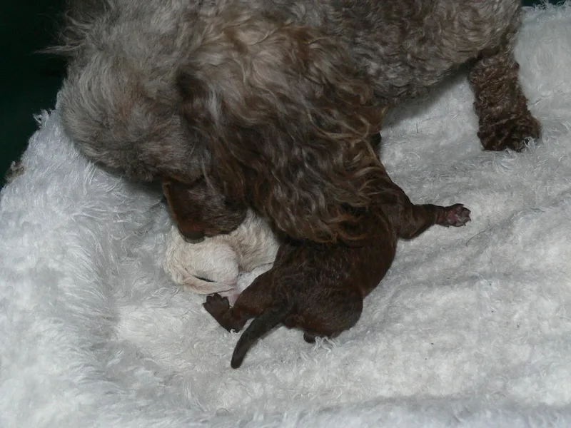 Debra White photo 1