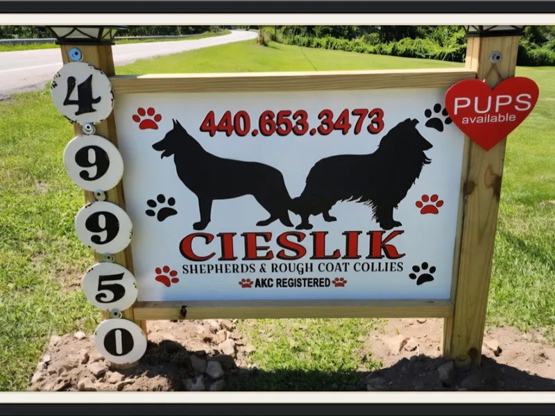 Denise Cieslik/Cieslik Shepherds & Rough Coat Collies