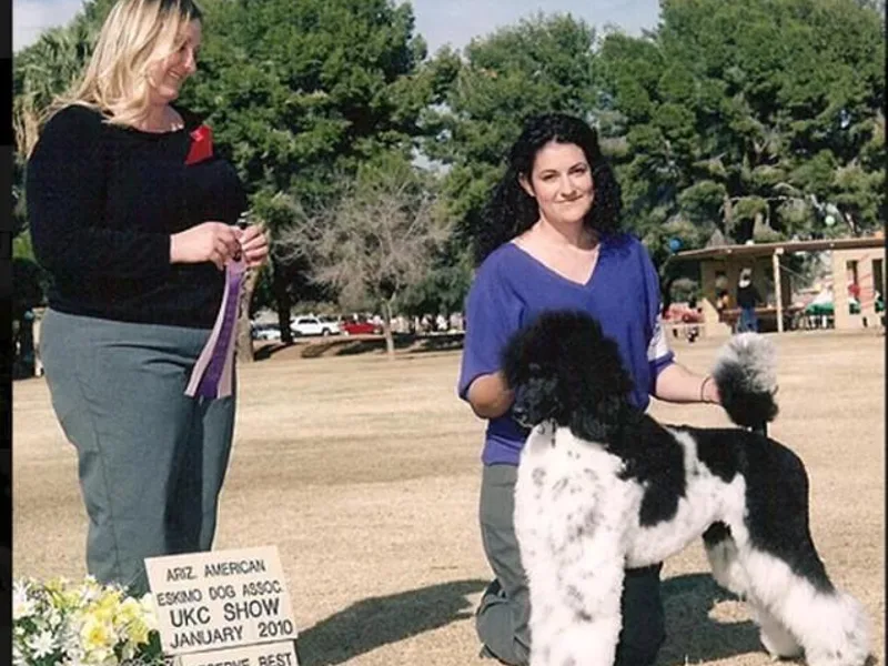 Desert Oasis Kennels