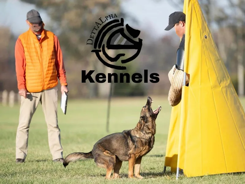 Dettaalpha Kennels