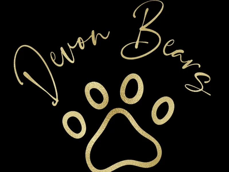 Devon Bears photo 1