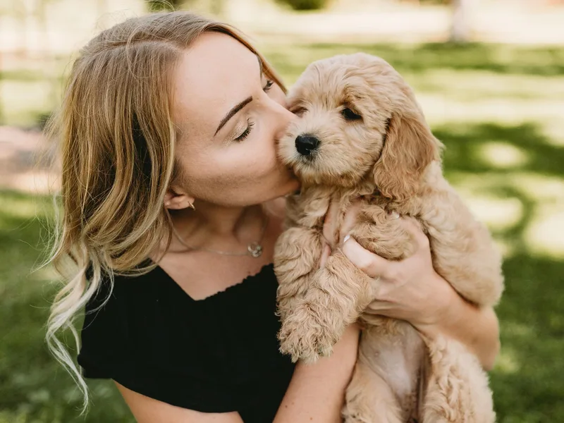 Diamond Daisy Doodles