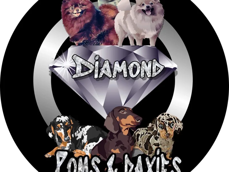 Diamond daxapoms  photo 1