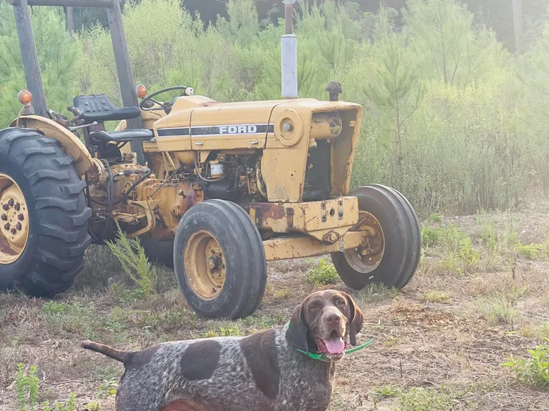 Diamond Tread Pointers