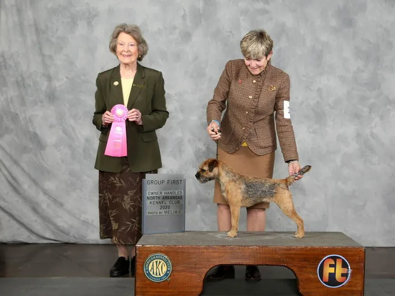 Diana Aguilar's Border Terriers