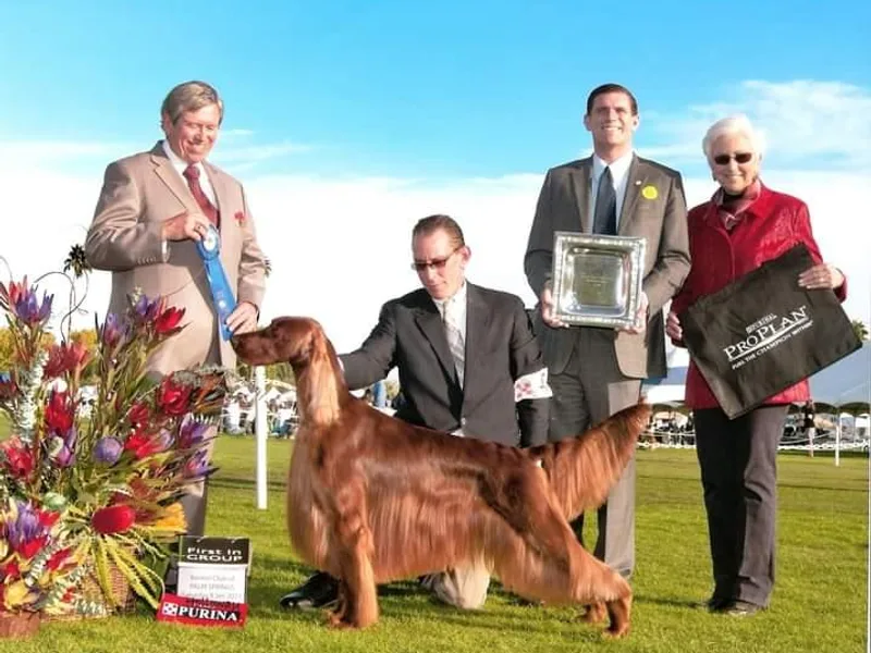 Diane's Irish Setters