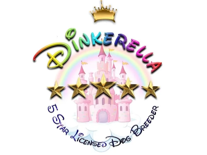 Dinkerella  ⭐️⭐️⭐️⭐️⭐️ photo 1