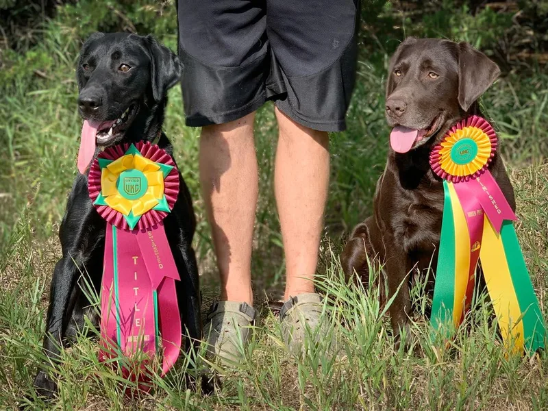 Dog Ear Outfitters