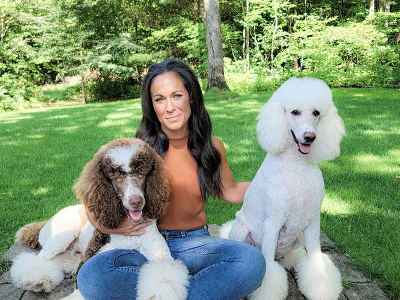 Dog Mom Co. Poodles