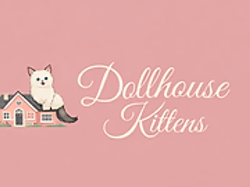 DollhouseKitten