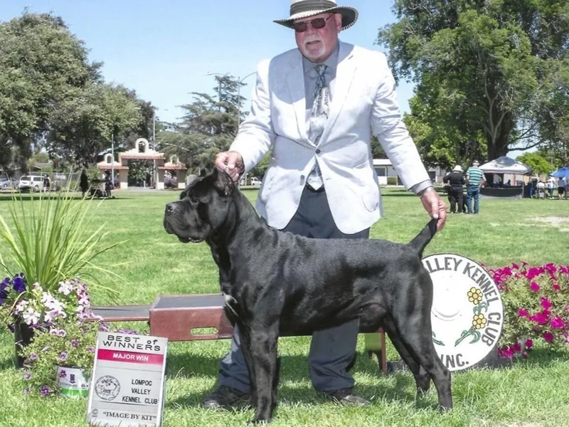Donato Kennels photo 1
