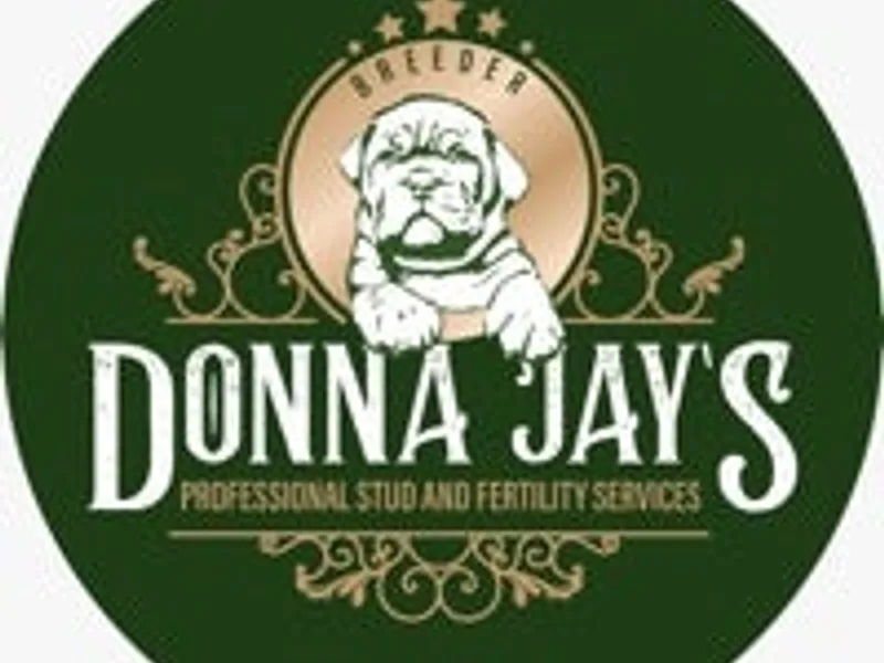 Donnajays Bordeauxs Ltd Cavapoo ckc photo 1