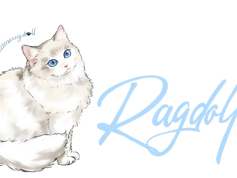 Doramiragdoll