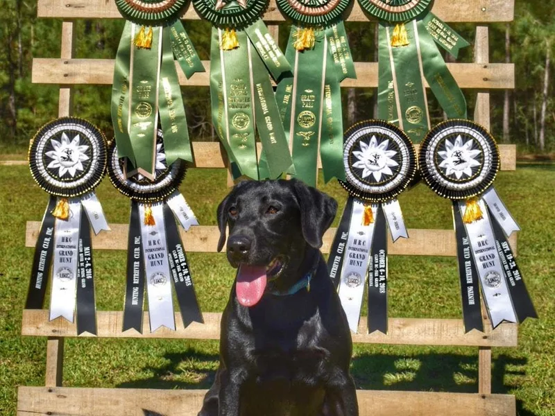 Double Branch Kennels