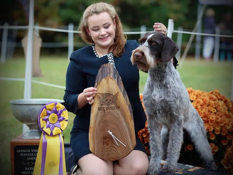 Double D Picards and GWPs