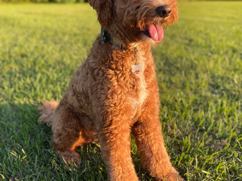 Double H Doods Ranch