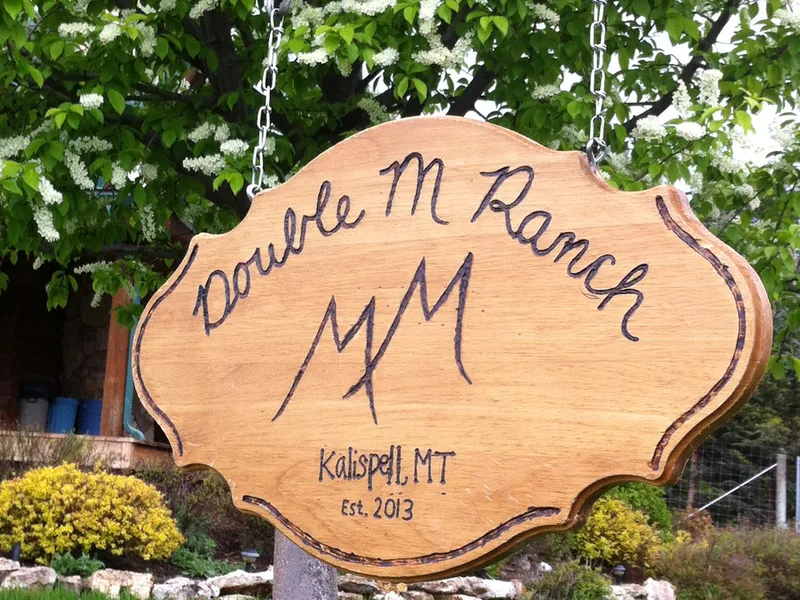 Double M Ranch Mini Aussies