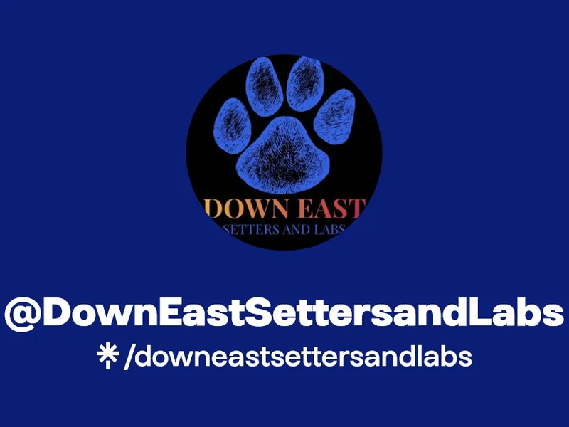 Down East Setters and Labs