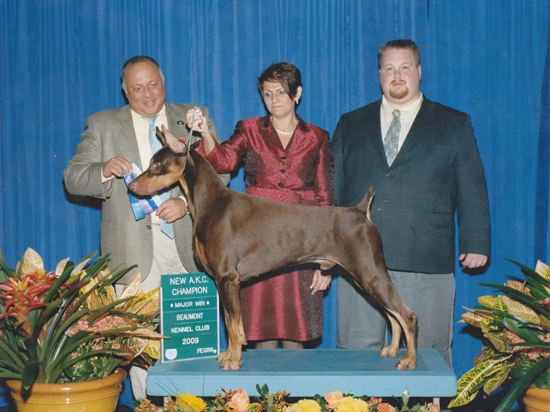 Draggin Dobermans & Great Danes