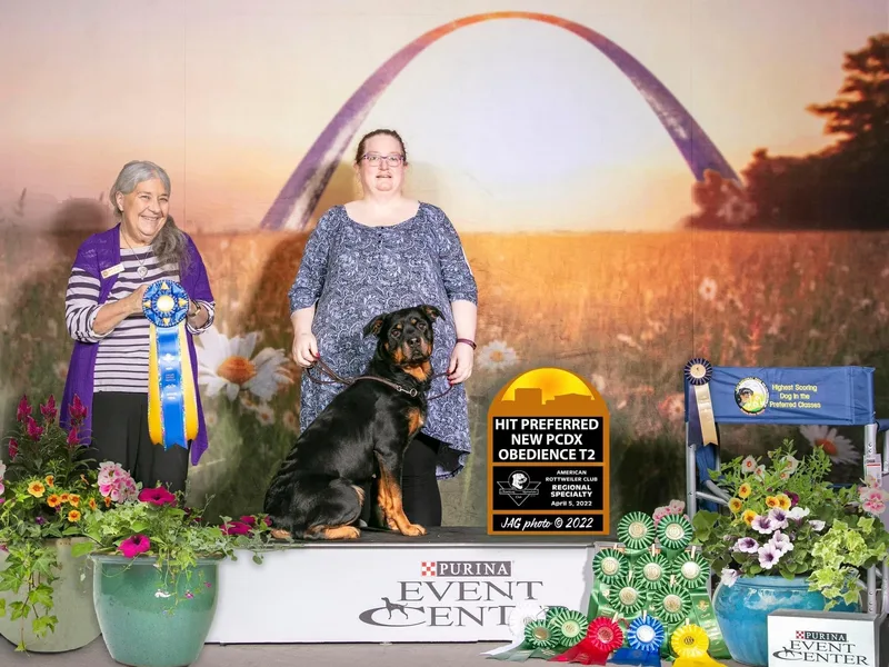 Dragonstar Rottweilers