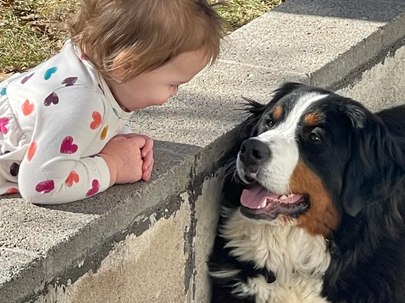 Draper Mountain Doodles