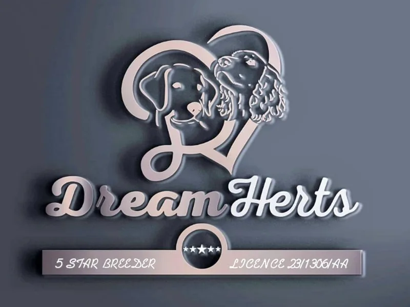 Dreamherts  photo 1