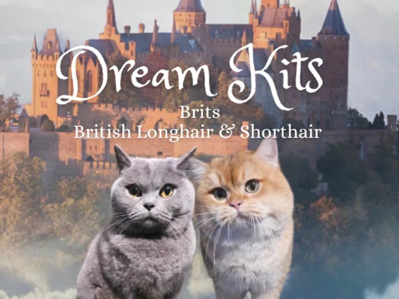 DreamKits