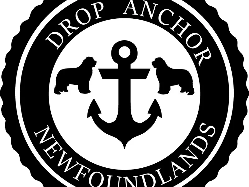 Drop Anchor Newfoundlands