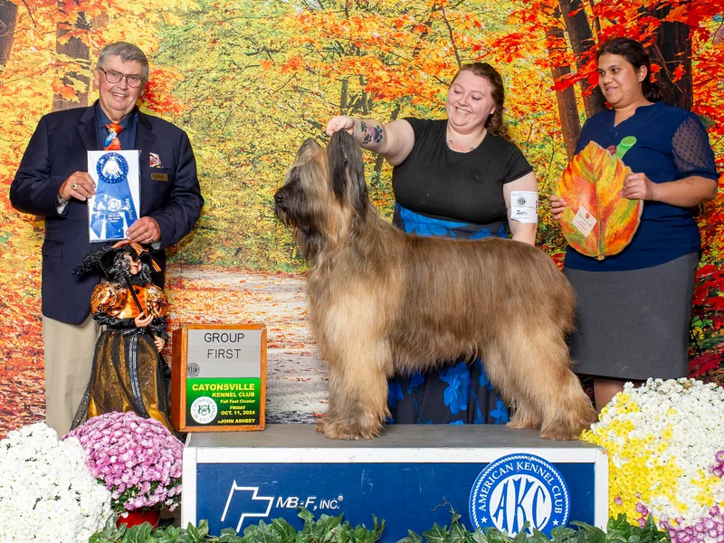 du Coeur Rose Briards